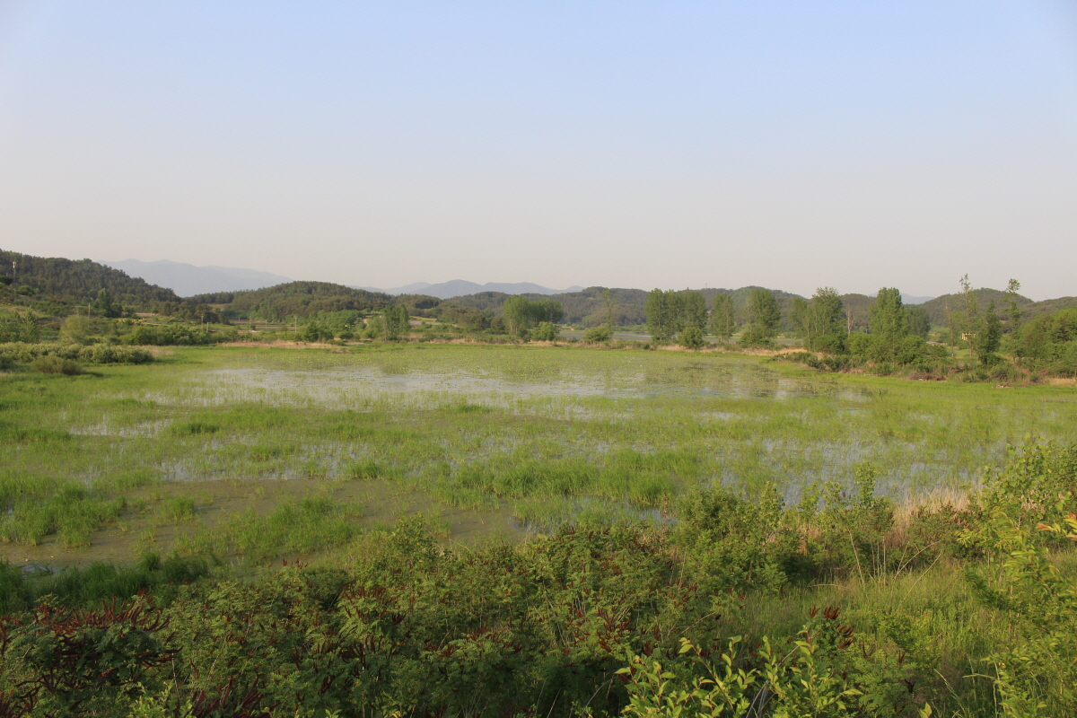 첨부이미지