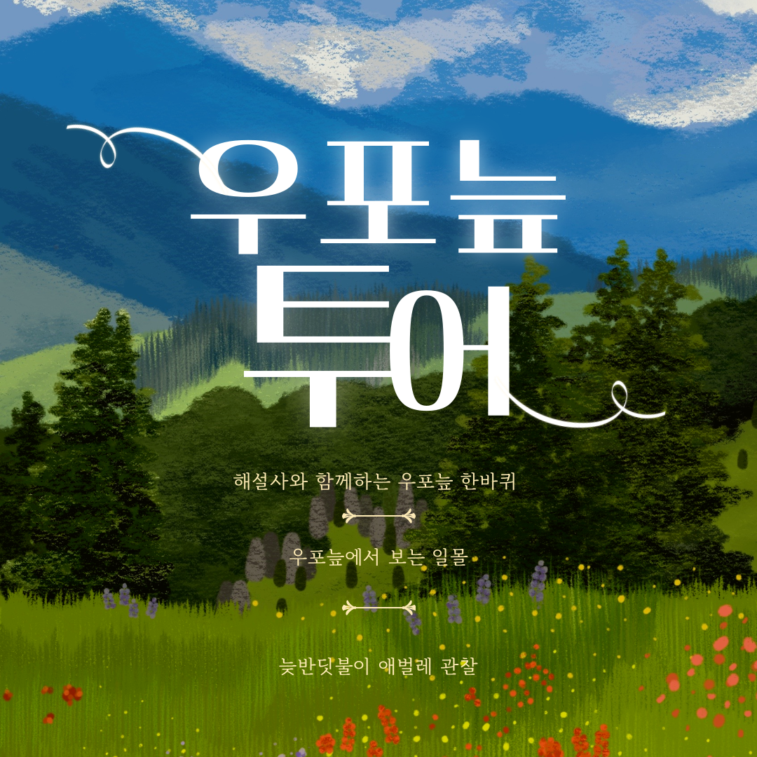 우포늪 투어