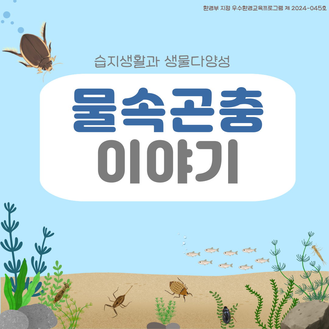 습지생활과생물다양성-물속곤충 이야기