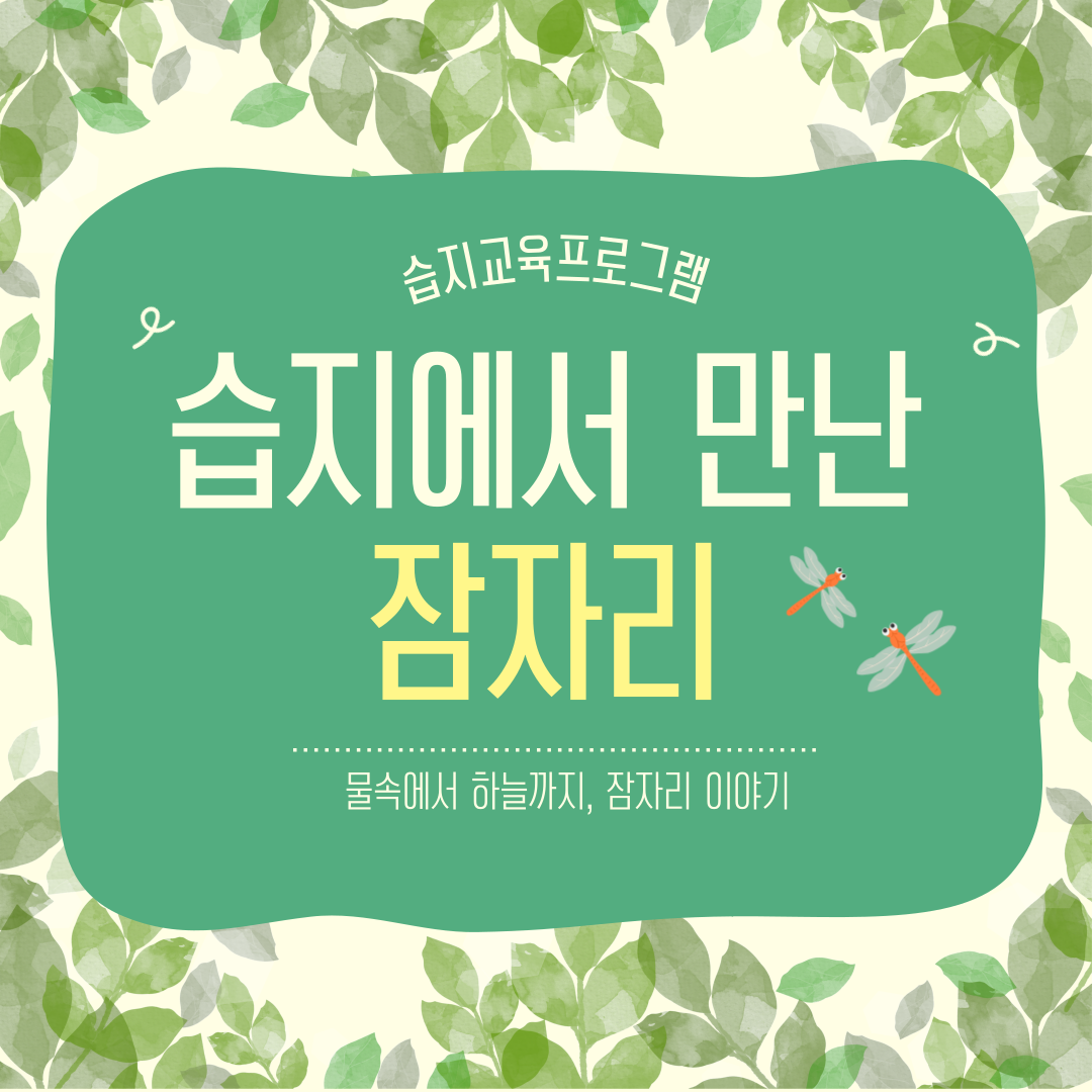 습지에서 만난 잠자리