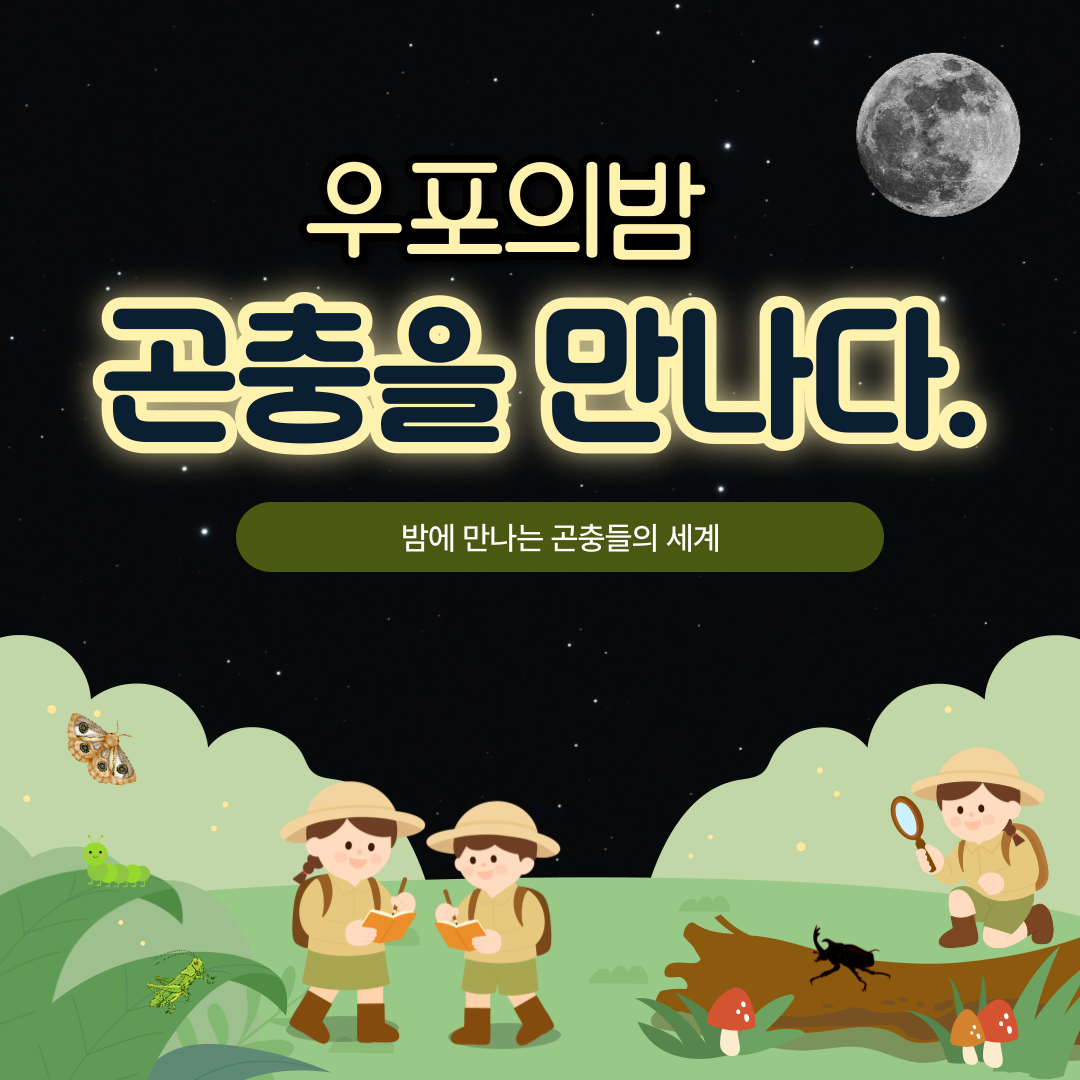 우포늪의 밤, 곤충을 만나다.