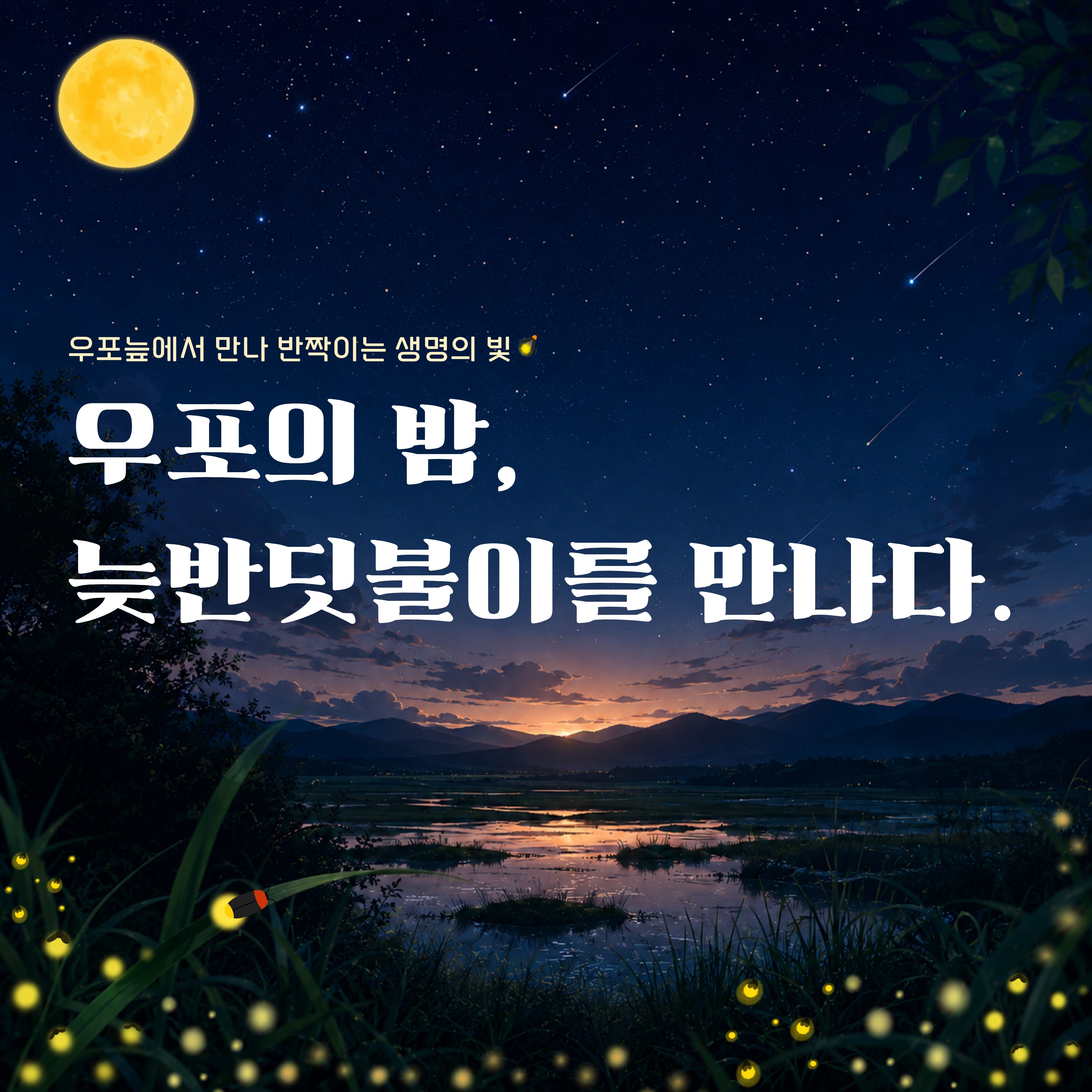우포의 밤, 늦반딧불이를 만나다