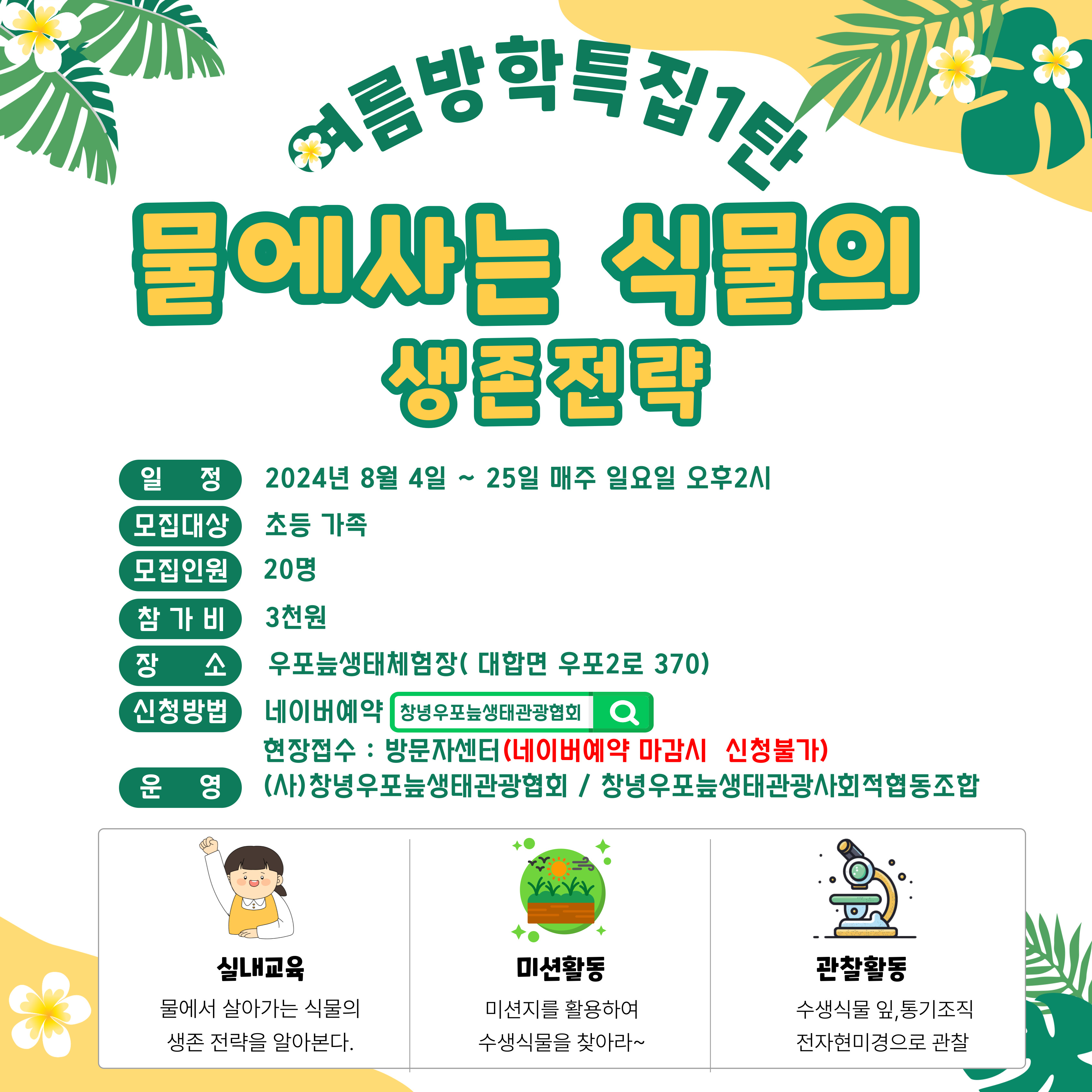 물에사는 식물의 생존 전략